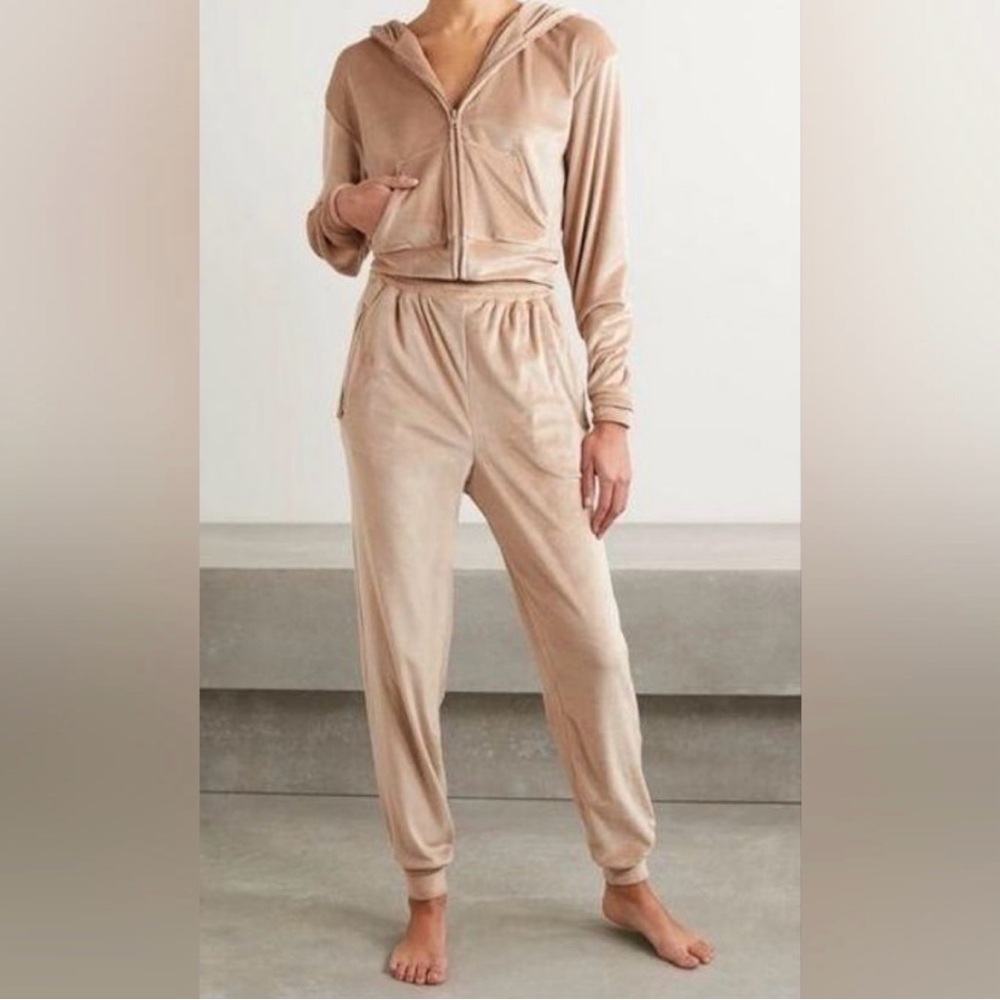 Skims Velour Tracksuit Top‎ (Large) and Bottoms (Medium)